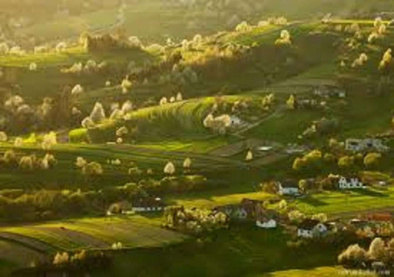 Penzion** Amalka Hrinova ภายนอก รูปภาพ
