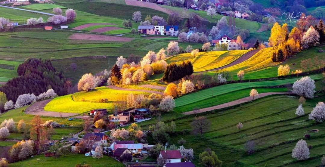 Penzion** Amalka Hrinova ภายนอก รูปภาพ